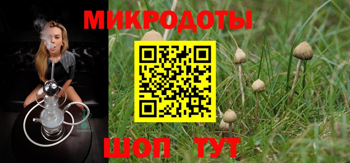 Псилоцибиновые грибы ЛСД Сатка