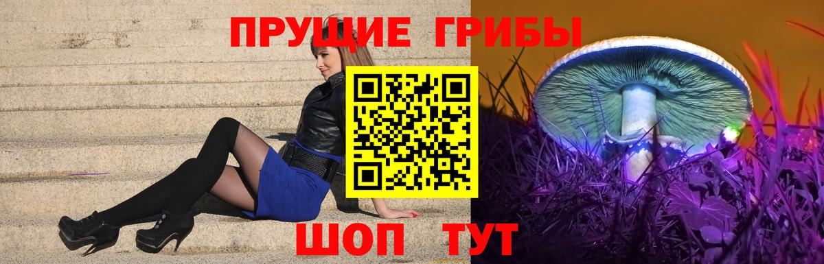Сатка  Галлюциногенные грибы мицелий  Вход с VPN 